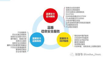 蓝盾安全整体外包服务解决方案 以信息系统集成为基石，构筑全方位信息安全堡垒